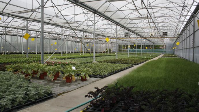 Le service des espaces verts de Roubaix produit environ 160 000 plants chaque année. © L. Hespel